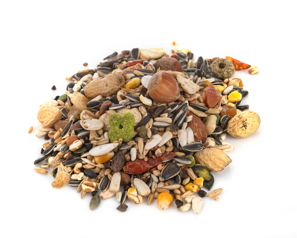 Heap of parrot fodder of dried fruits, nuts and seed mix on white background. Food for birds