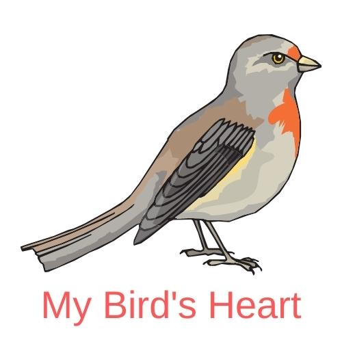 My Bird's Heart logo